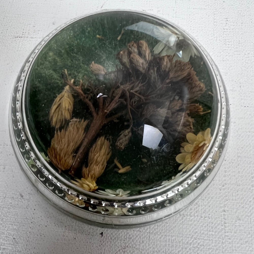 Vintage Glass Dome Paperweight Dried Flowers Botanical Green Base